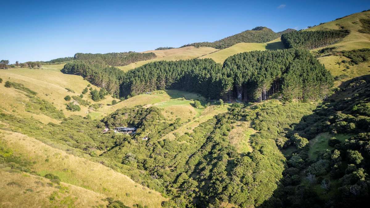 380 Whaanga Road_3