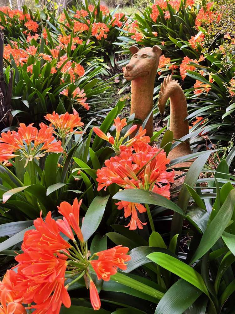 100 Margaret Reeve Lane Waiheke Island_25