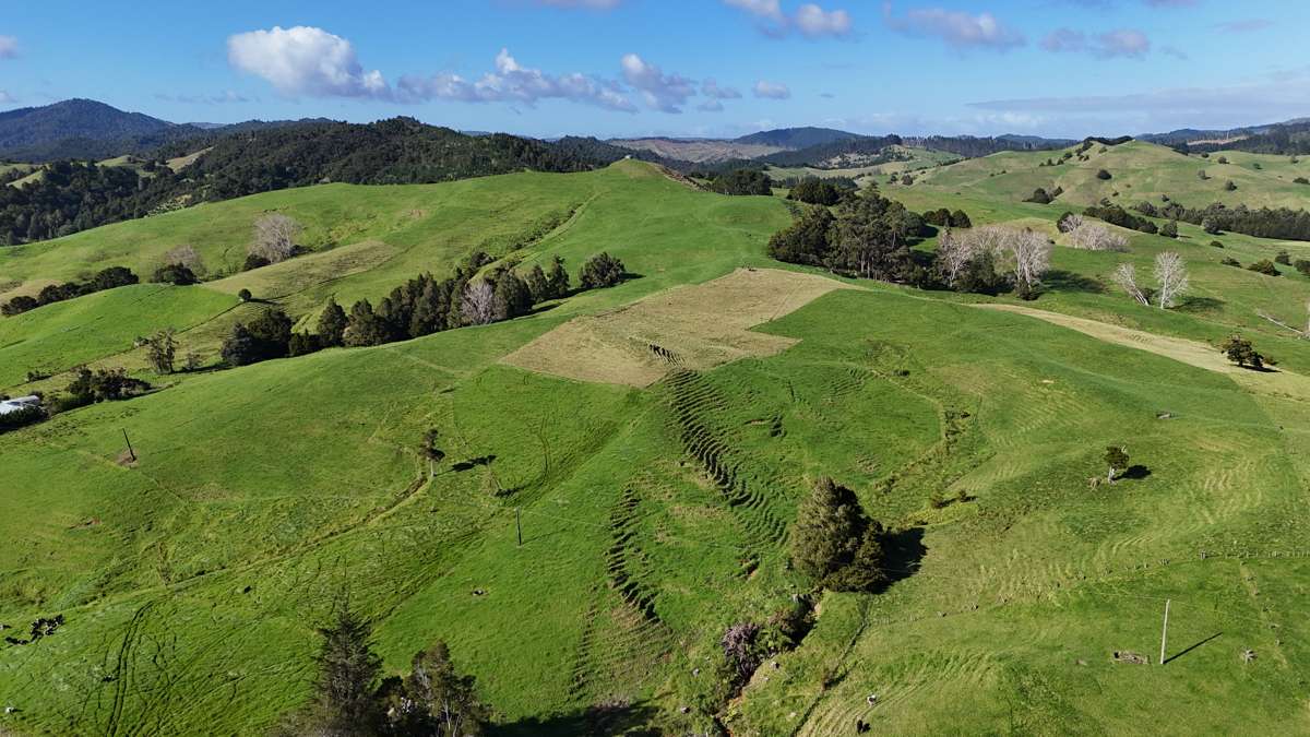 30C Te Ranga Road_3
