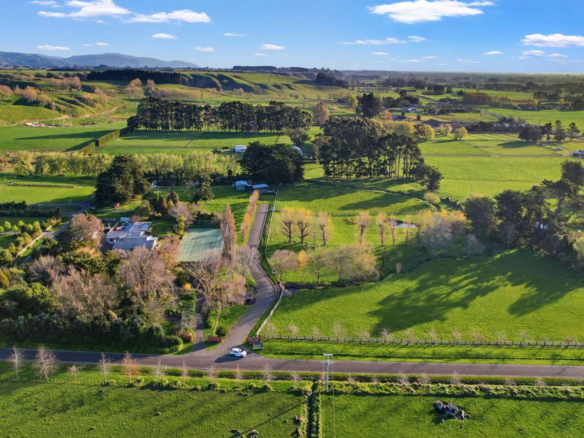 34 Forest Hill Road_4