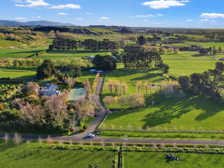 34 Forest Hill Road Aokautere_8