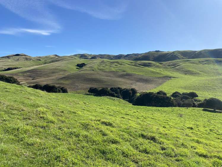 48 Heathfield Road Waipara_30