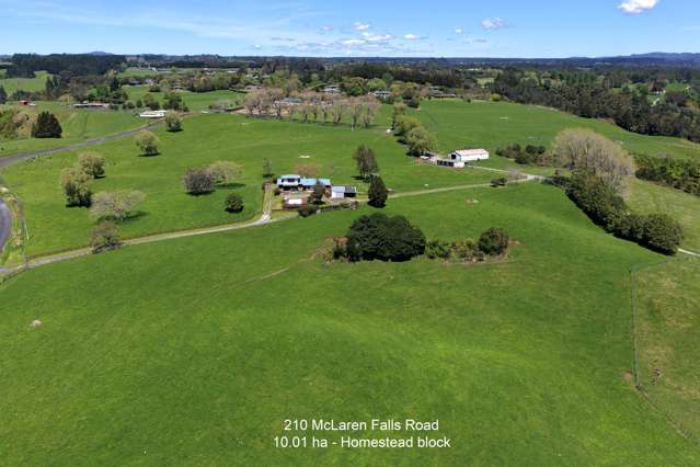 Expansive homestead lifestyle on 10 ha