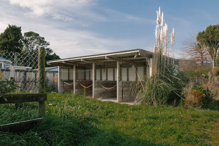 44 Te Wanaka Road Awapuni_9