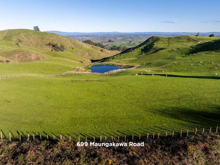 697 and 699 Maungakawa Road Cambridge_9