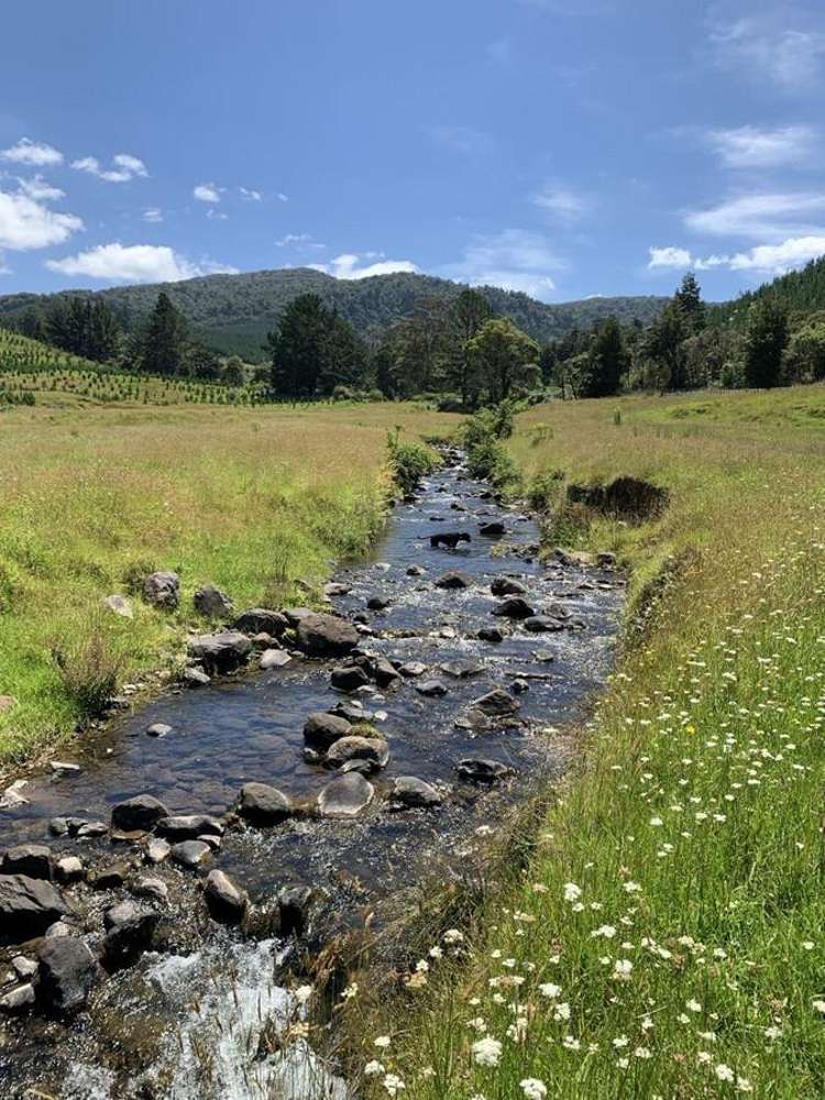 1819 Mataraua Road Kaikohe_28