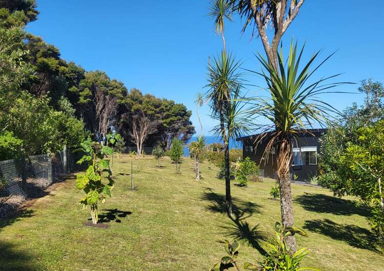 9 Elizabeth Point Road Kawau Island_26