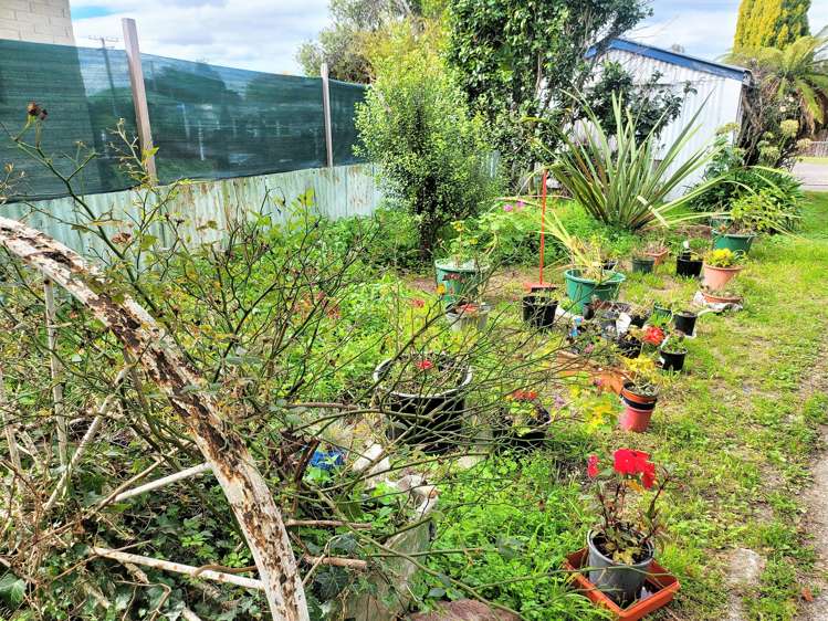 13 Ormond Street Woodville_15