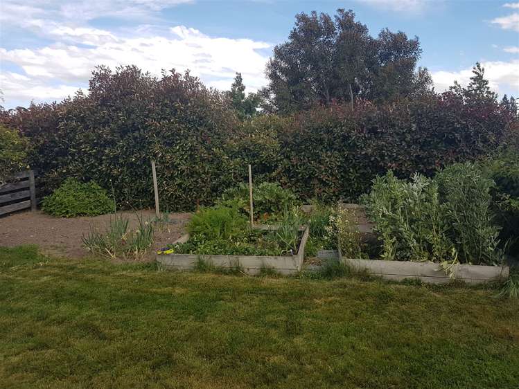 60 Windsor Drive Kirwee_23