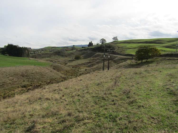 Te Tahi Road Pirongia_9