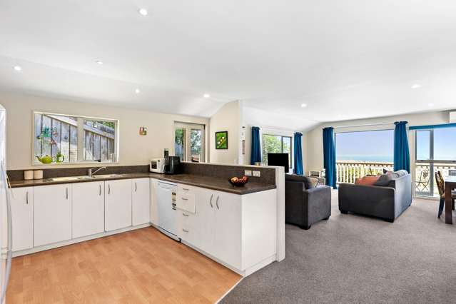 38 Rakau Road Hataitai_2