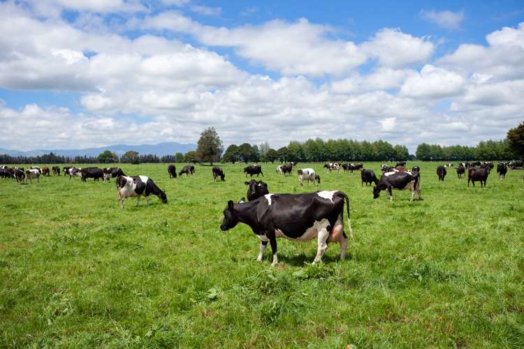 2800 State Highway 27 Springdale_16