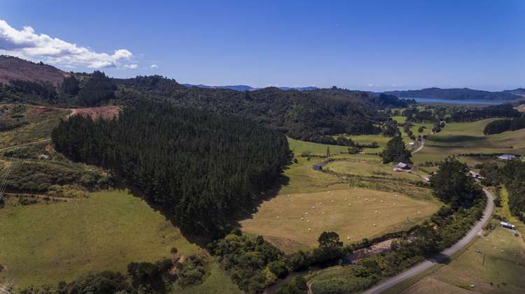 220 Mill Creek Road Kaimarama_12