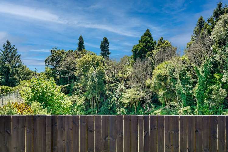 65E Crosby Road Chartwell_18