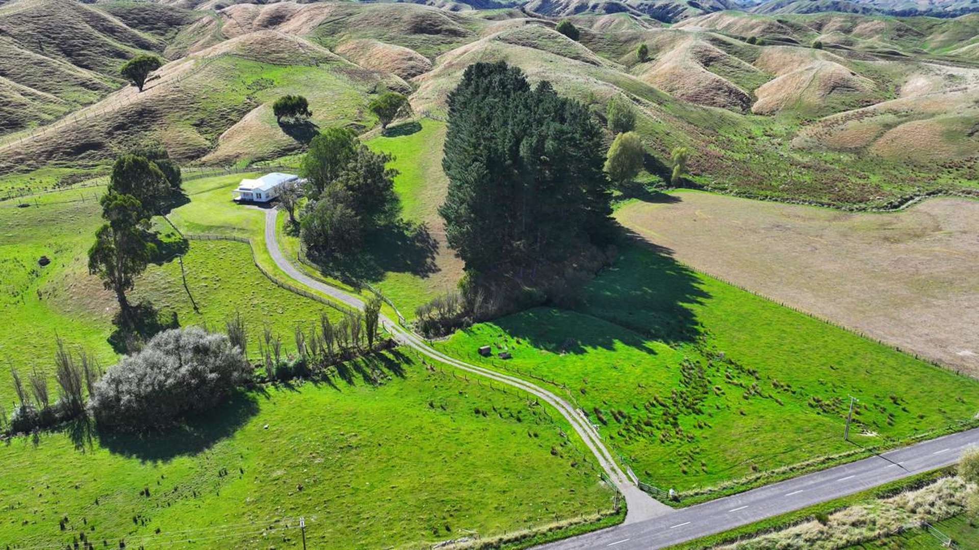 597 Hamua Rongomai Road Eketahuna_0