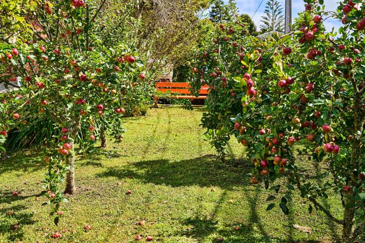 19 Palm Grove Belmont_28