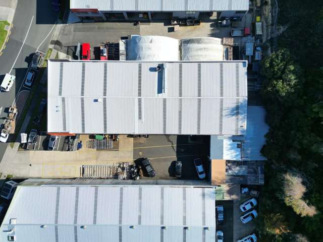 99 Birch Avenue Judea_2