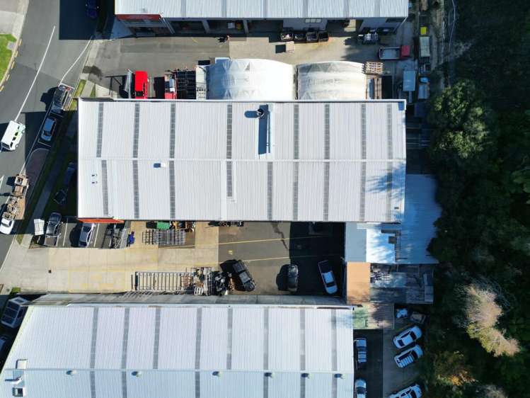 99 Birch Avenue Judea_2