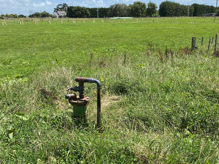 105 Aranui Road Kairanga_28