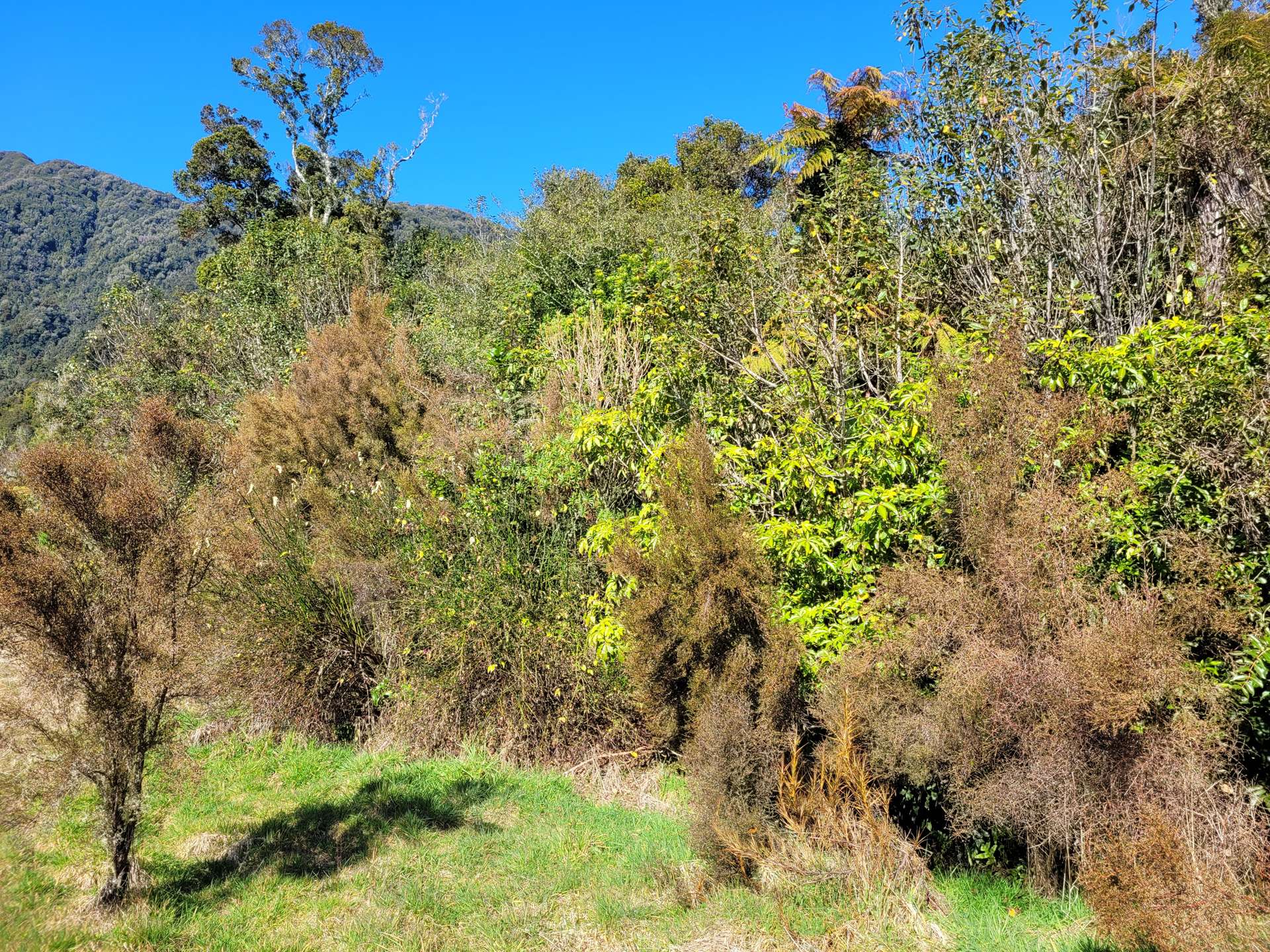 5 Charles Douglas Drive Franz Josef Glacier_0