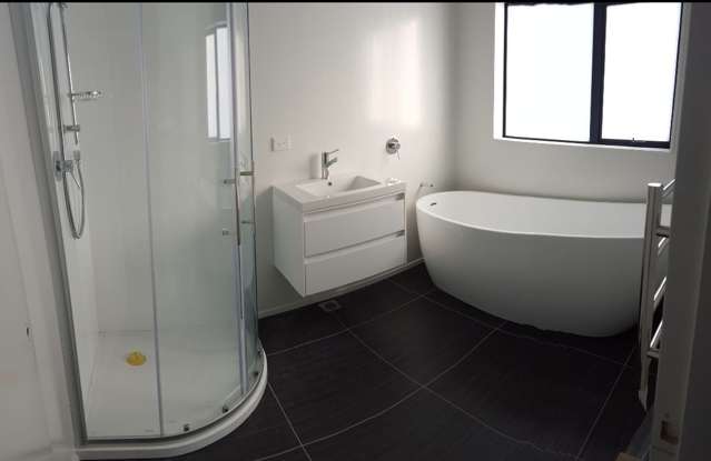 52A Connolly Street Boulcott_1