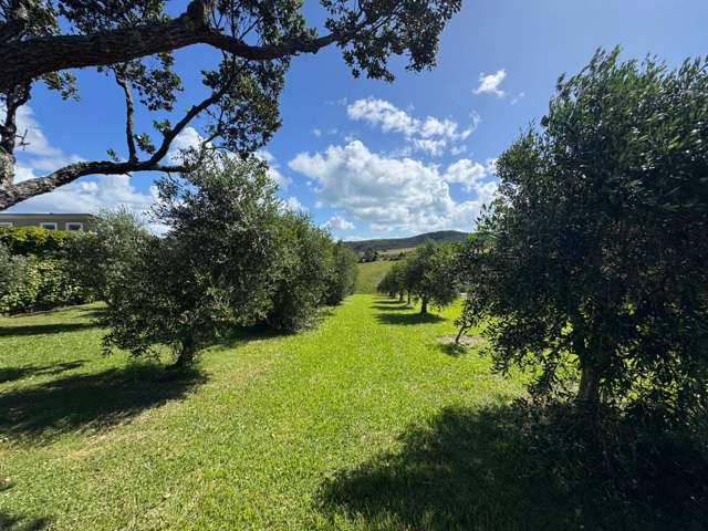 439 Sea View Road Onetangi_1