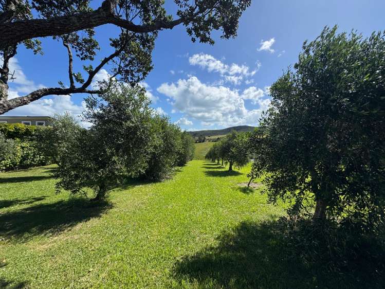 439 Sea View Road Onetangi_1