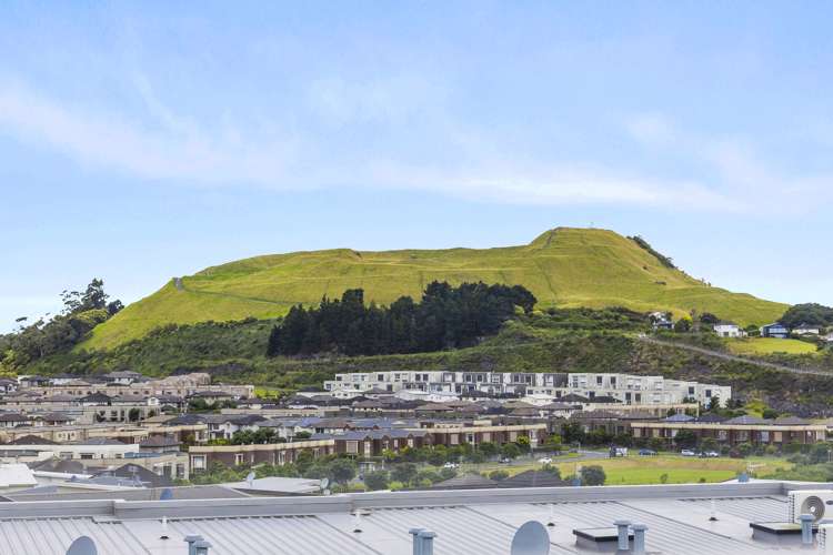 16 Charles Heaphy Lane Stonefields_2