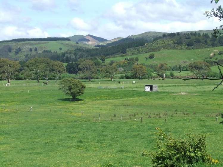 95 Hinau Gully Road Carterton_6