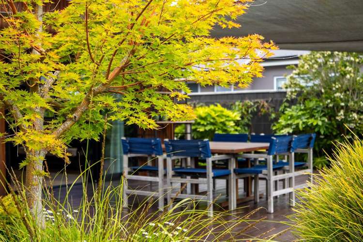 87 Daelyn Drive Richmond_30