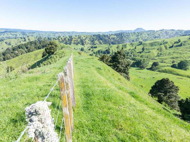 184 Lairdvale Road Taumarunui_23