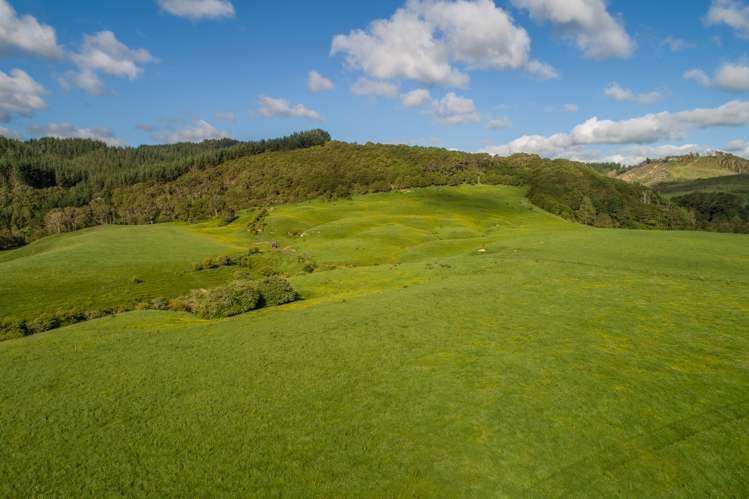 125 Wilson Road Hunua_12