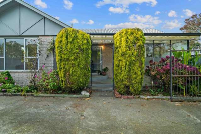 41 Gibson Drive Hornby_2