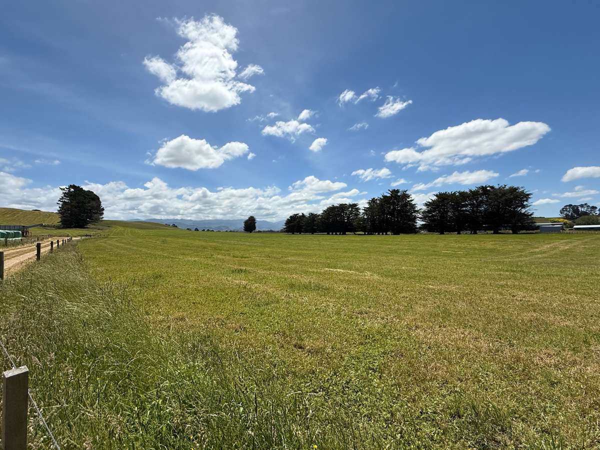 83 Norsewood Ormondville Road_2