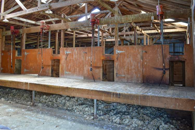 909 Nine Mile Road Riversdale_8