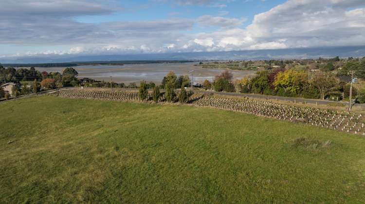 17 Bronte Road East Tasman_2