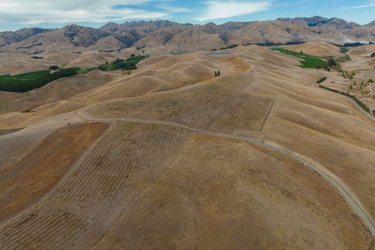 109 Haldons Road Seddon_5