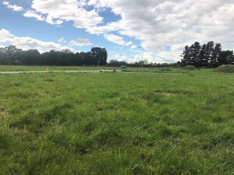 17 Madison Street Cambridge_8