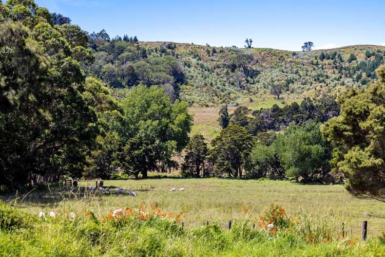 1005 Pakiri Road Pakiri_13