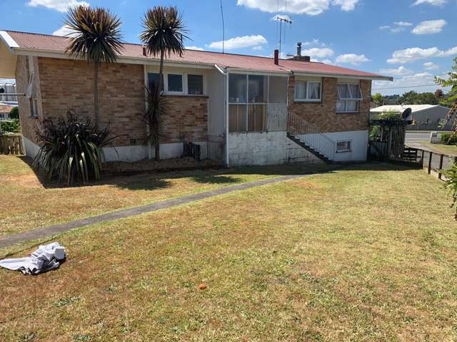 1241 Alexandra Street Te Awamutu_2