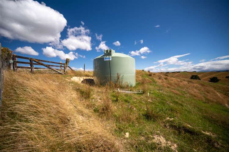 223 Rose Road Upper Moutere_7