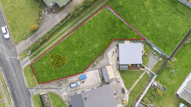 32 Flower Street Bulls_2