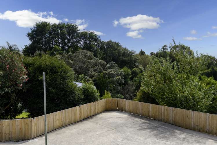 44 Paine Street Judea_14