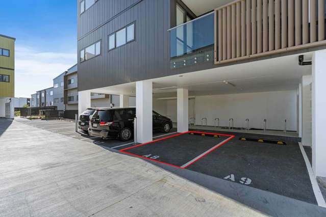 201/1 Dishys Road Flat Bush_4