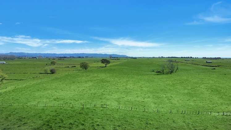 203A Aerodrome Road Thornton_10