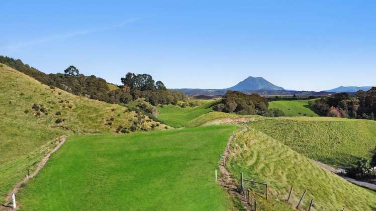 Otumahi Lane Whakatane_24