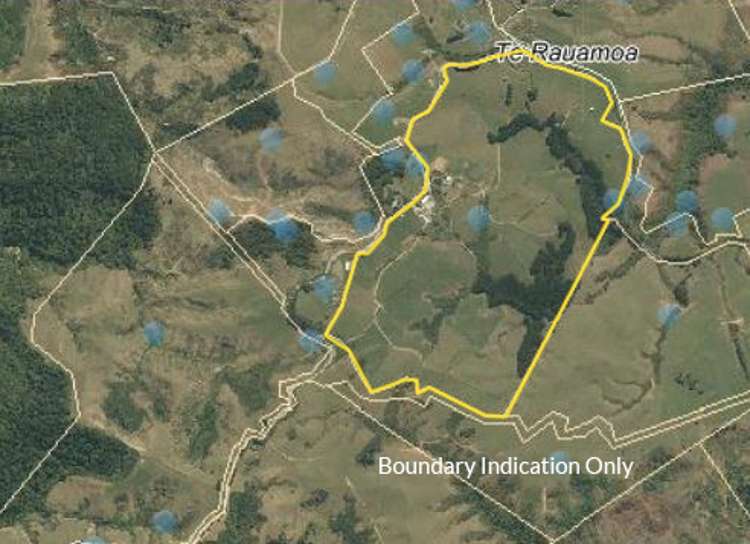 63 Kaimango Road Otorohanga_17