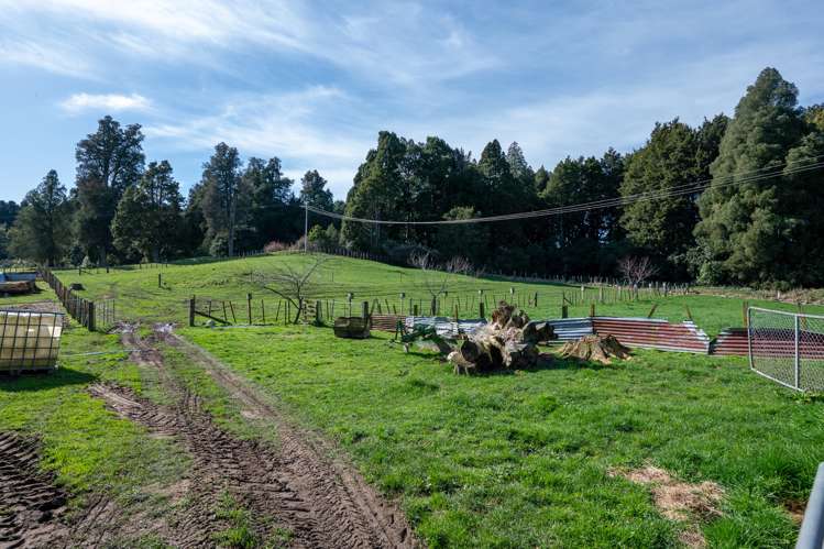 655 Whakapapa Road Kakahi_18