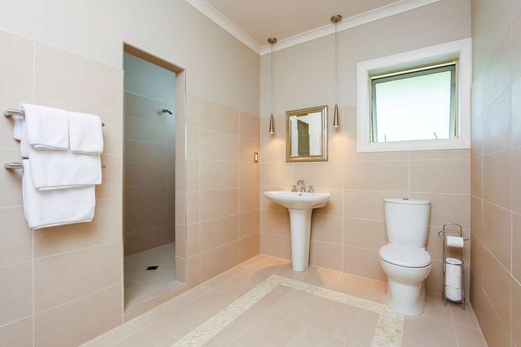 218a Postman Road Dairy Flat_13