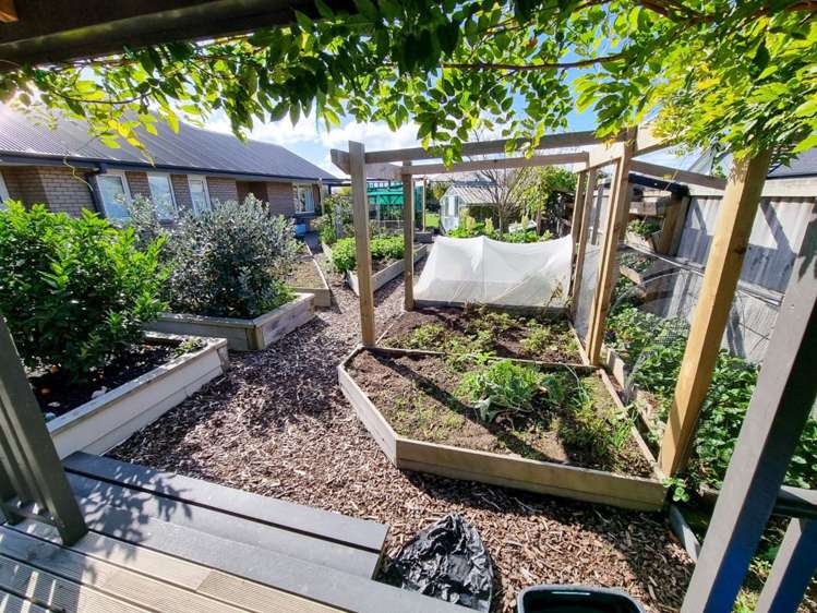 55 Shepherd Avenue West Melton_15